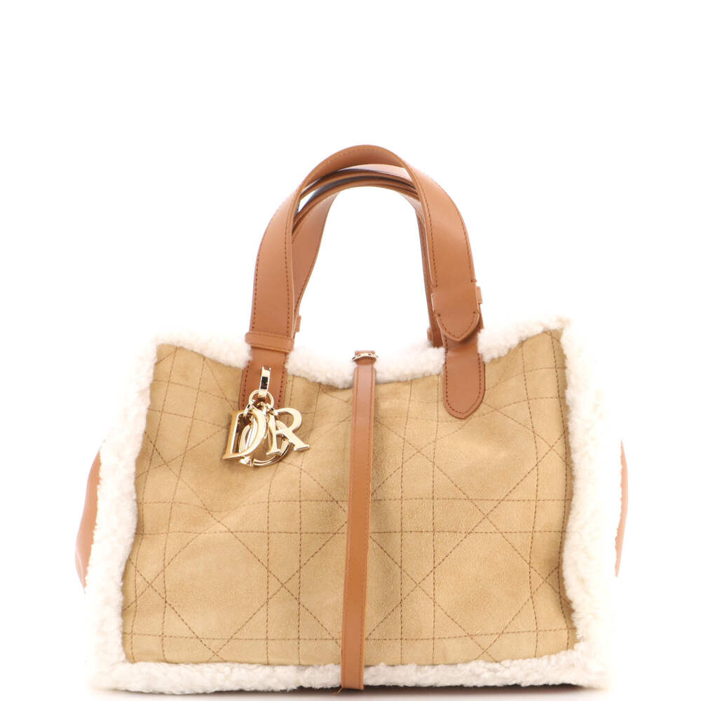 Christian Dior Medium Toujours Tote Bag